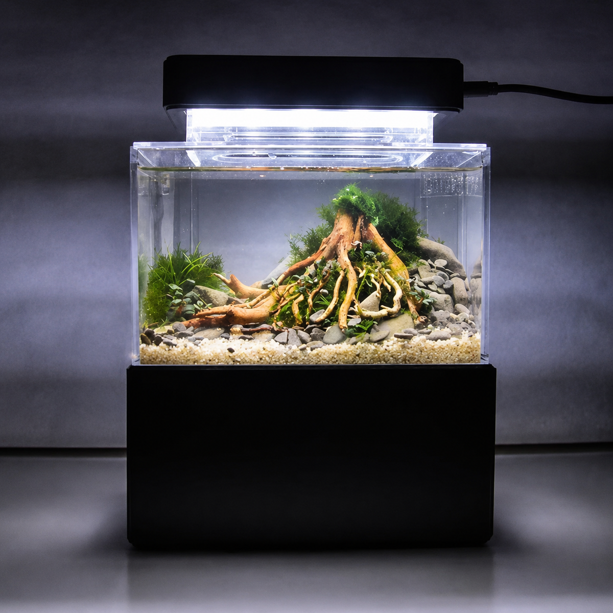 All In One Desk Aquarium