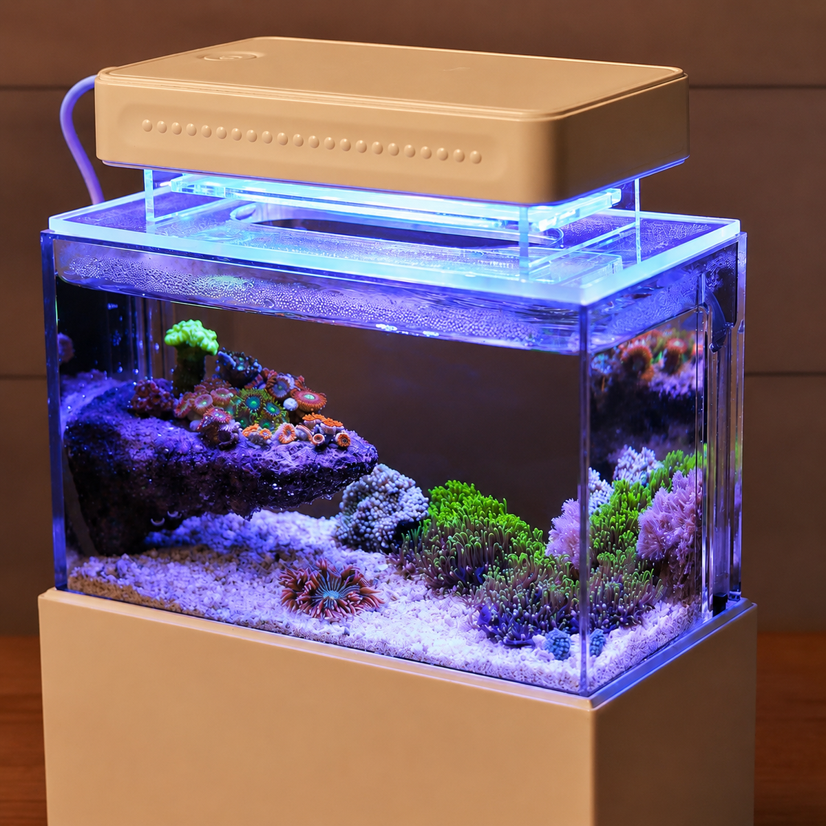 All In One Desk Aquarium