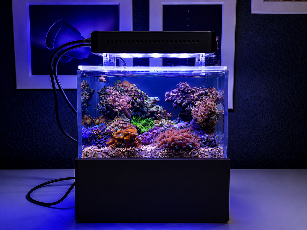 All In One Desk Aquarium