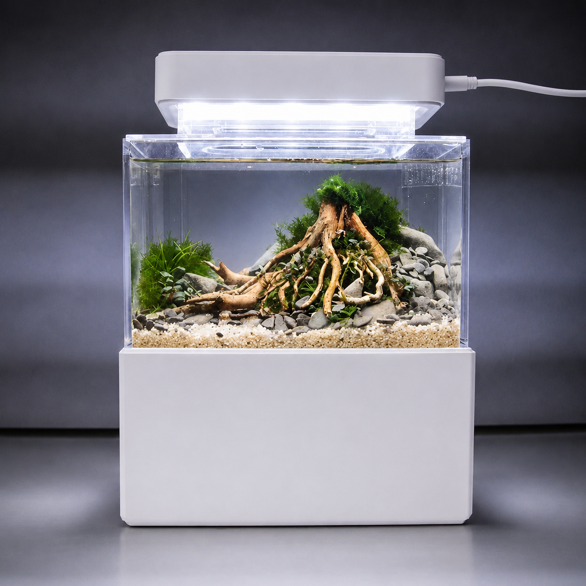 All In One Desk Aquarium